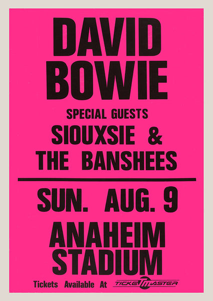 David Bowie - Siouxsie And The Banshees Poster #1