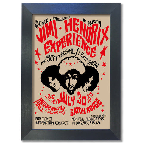 Jimi Hendrix Experience Poster #1