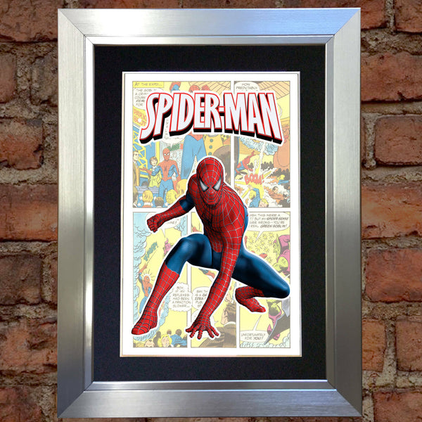 SPIDERMAN Superhero Print Wall Comic Art Black / Silver / Gold Frame Poster #714