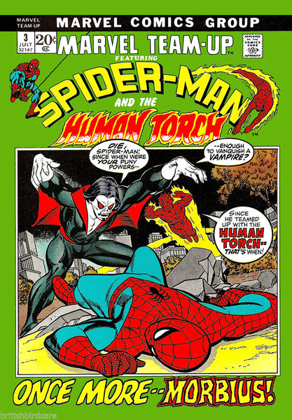 SPIDERMAN Comic Cover 3rd Edition Cover Reproduction Vintage Wall Art Print #9